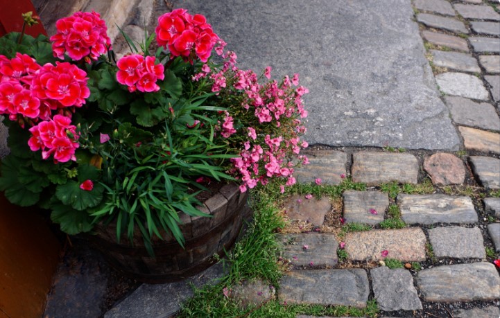 розмір вуличного вазона для різних рослин